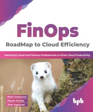 FinOps: RoadMap to Cloud Efficiency?