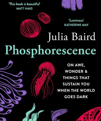 Phosphorescence: On Awe, Wonder & Things That Sustain You When The World Goes Dark