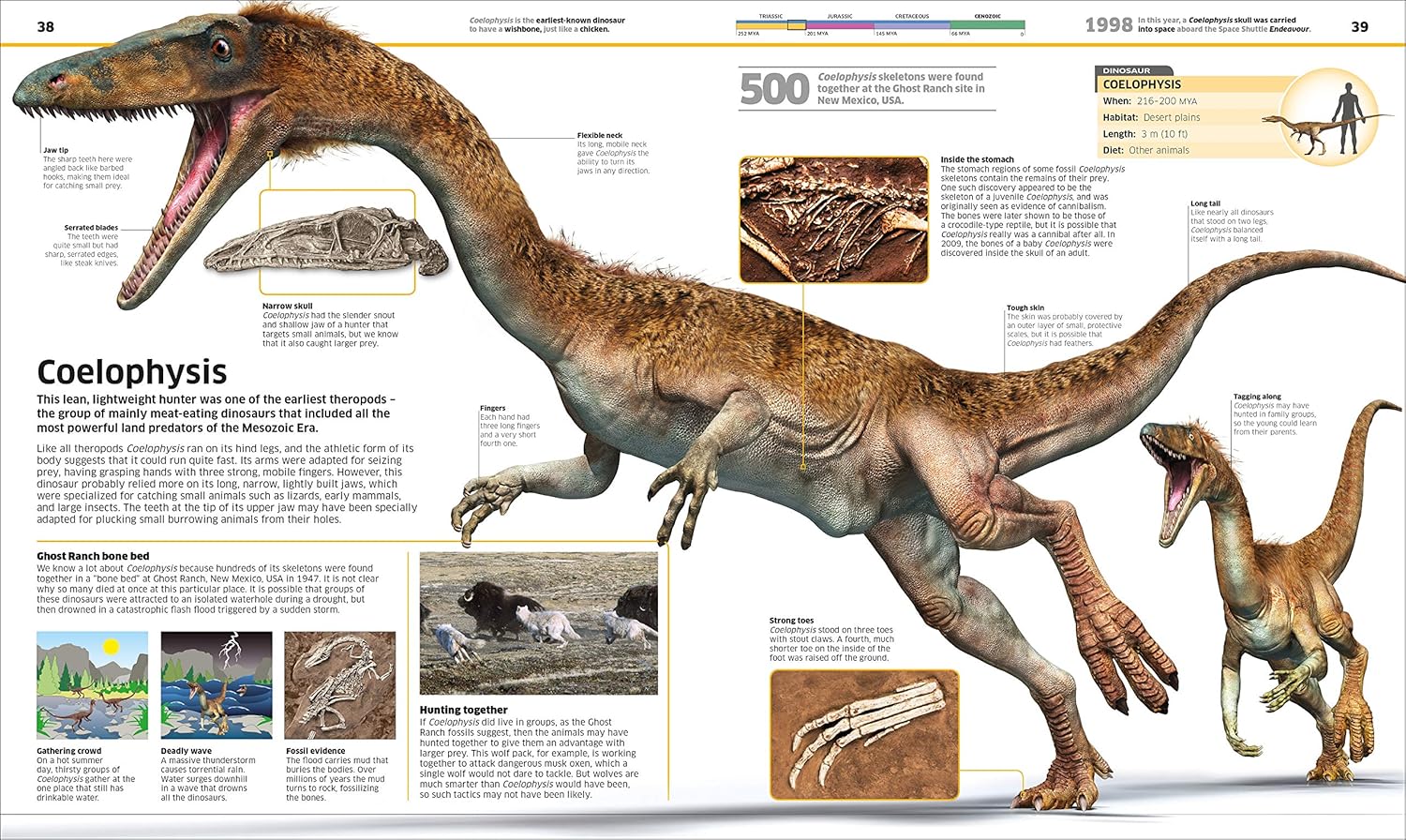 Knowledge Encyclopedia Dinosaur!: Over 60 Prehistoric Creatures as You've Never Seen Them Before - Image 4