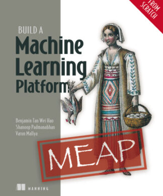 Build a Machine Learning Platform