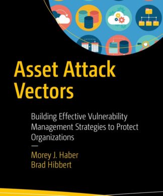 Asset Attack Vectors