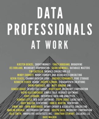 Data Professionals at Work