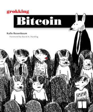 Grokking Bitcoin
