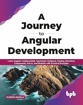 Journey to Angular Development