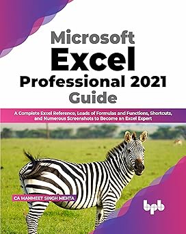 Microsoft Excel Professional 2021 Guide