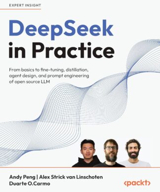 DeepSeek in Practice