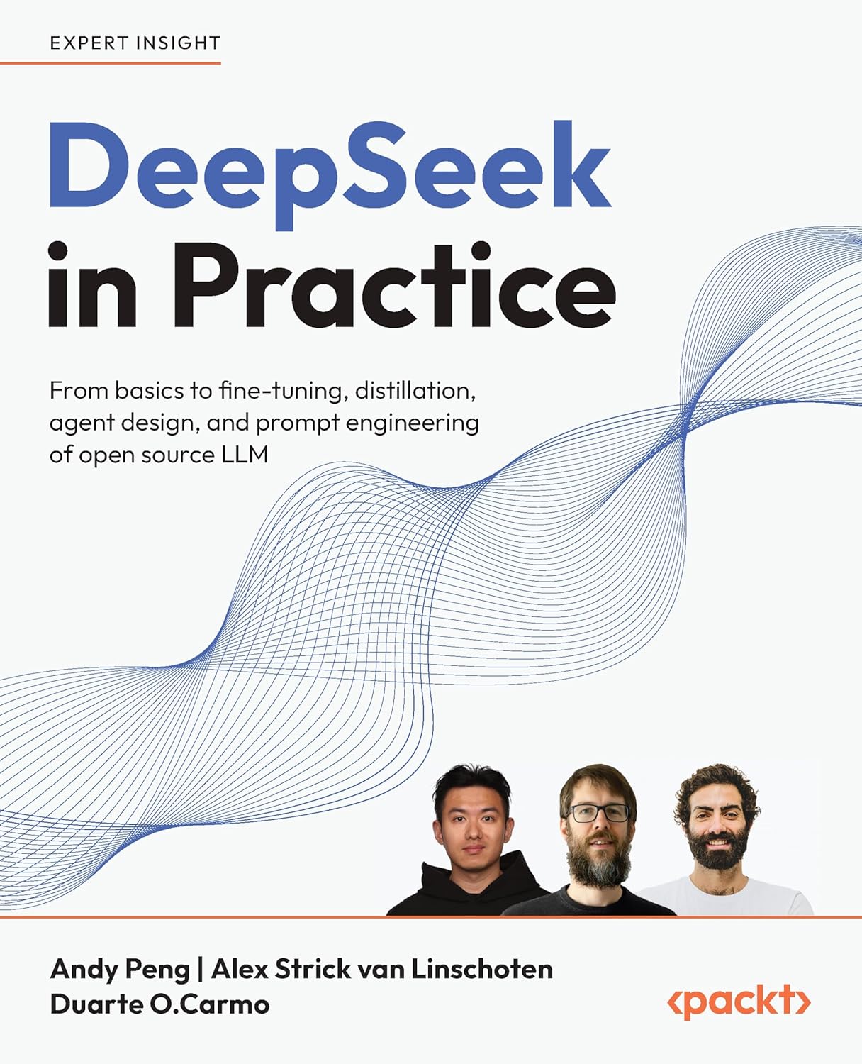 DeepSeek in Practice