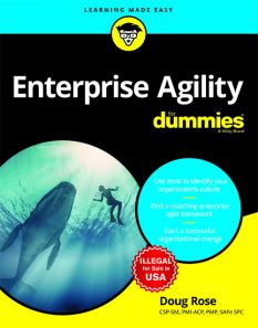 Enterprise Agility For Dummies