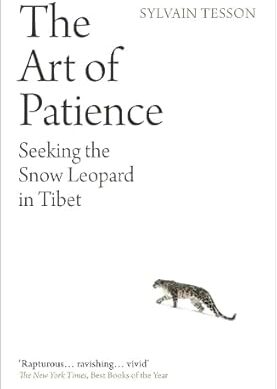 The Art of Patience: Seeking the Snow Leopard in Tibet