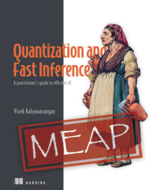 Quantization and Fast Inference