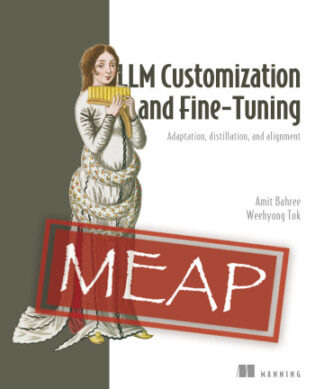 LLM Customization and Fine-Tuning