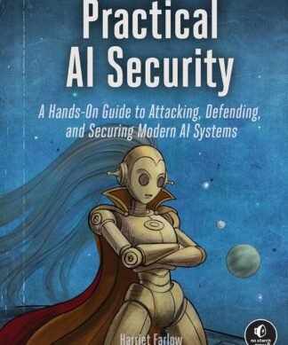Practical AI Security