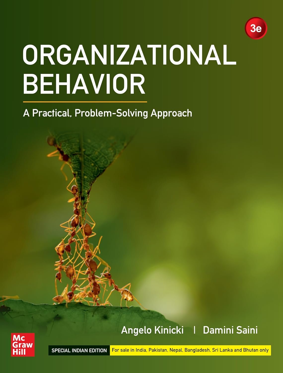 Organizational Behavior | 3rd Edition |